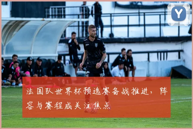 法国队世界杯预选赛备战推进,阵容与赛程成关注焦点