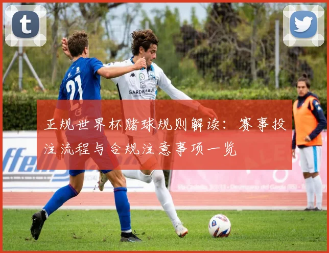 正规世界杯赌球规则解读:赛事投注流程与合规注意事项一览