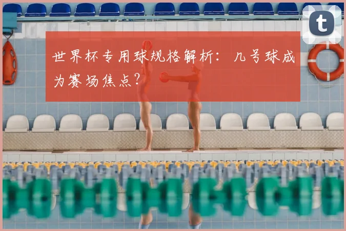 世界杯专用球规格解析:几号球成为赛场焦点?