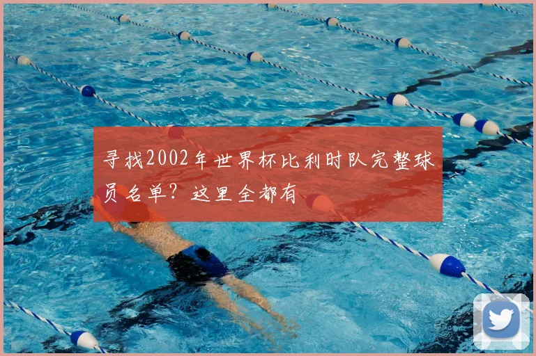 寻找2002年世界杯比利时队完整球员名单?这里全都有