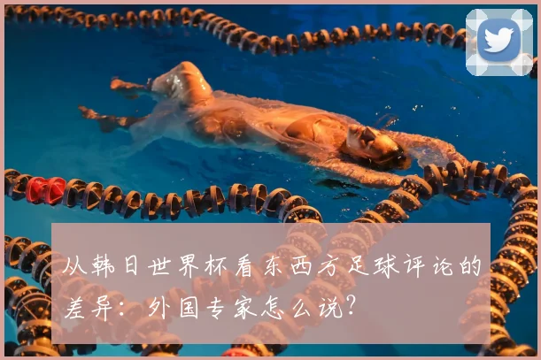 从韩日世界杯看东西方足球评论的差异:外国专家怎么说?